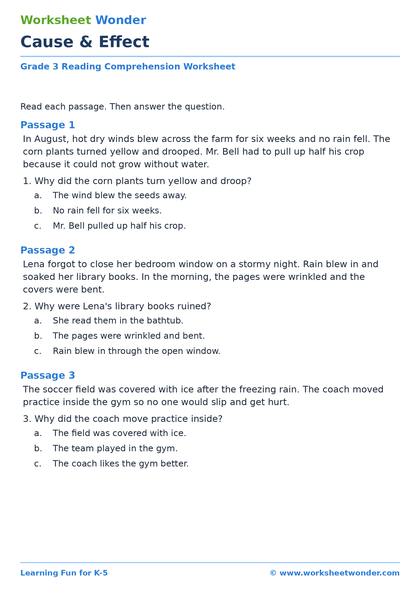 Cause & Effect - 10 pages