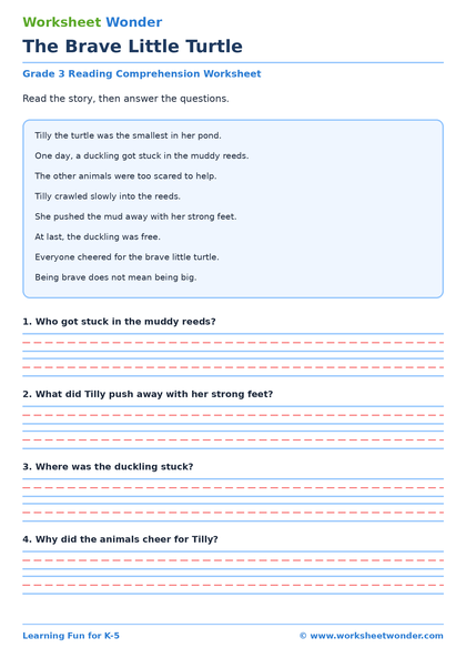 Reading Comprehension Pack: Set 2 - 10 pages