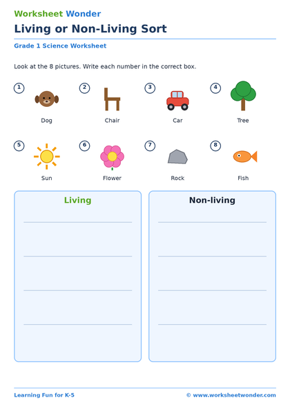 Plants and Animals - 10 pages